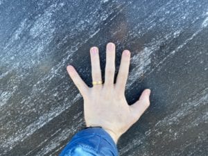 Nevada Black Scale - 3-31-2021